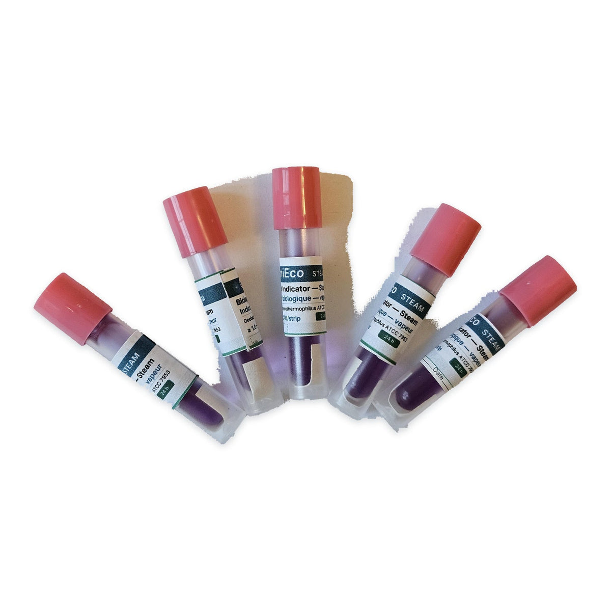 Five CliniEco steam biological indicator vials with pink caps and bilingual Steam labels