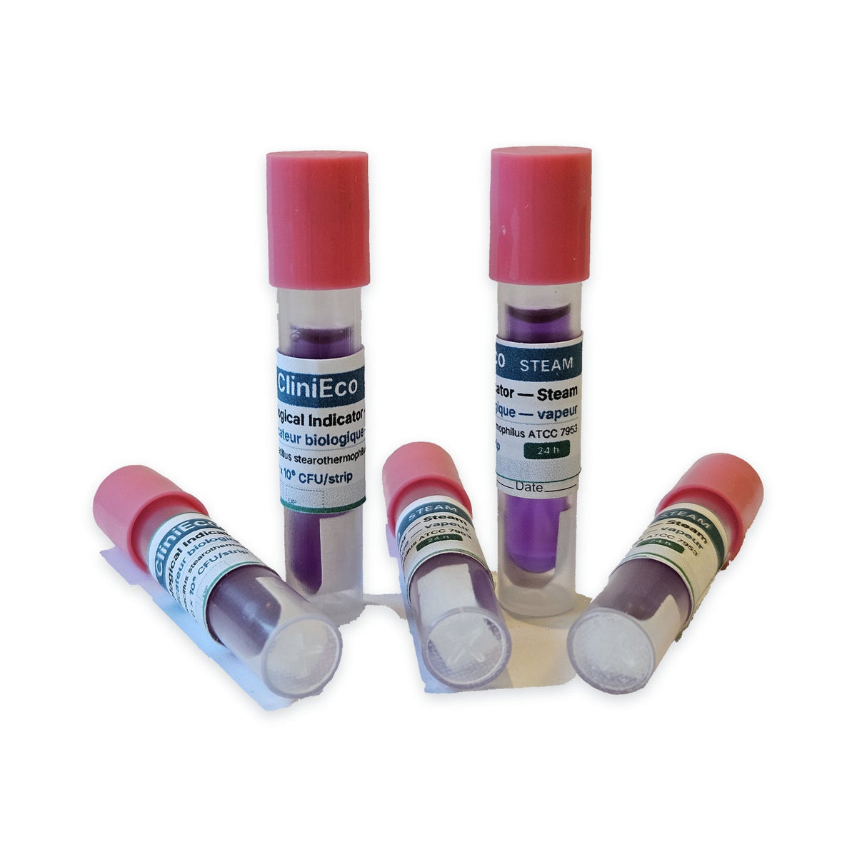 Five self-contained biological indicator vials with pink caps and purple growth medium