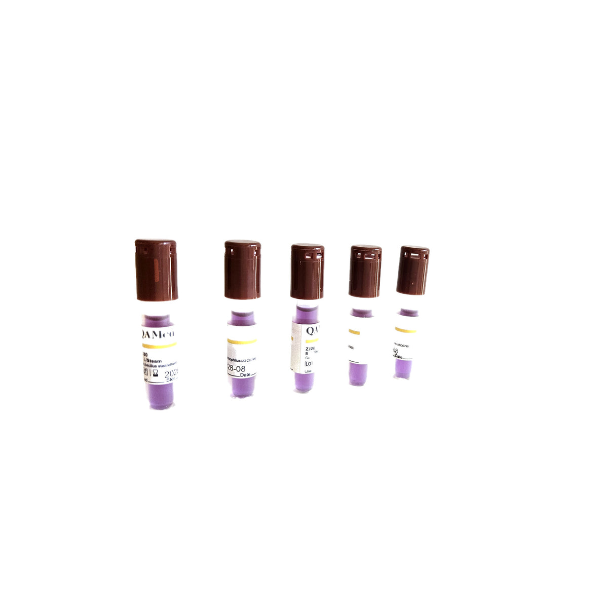 01_five_vials_row.jpg