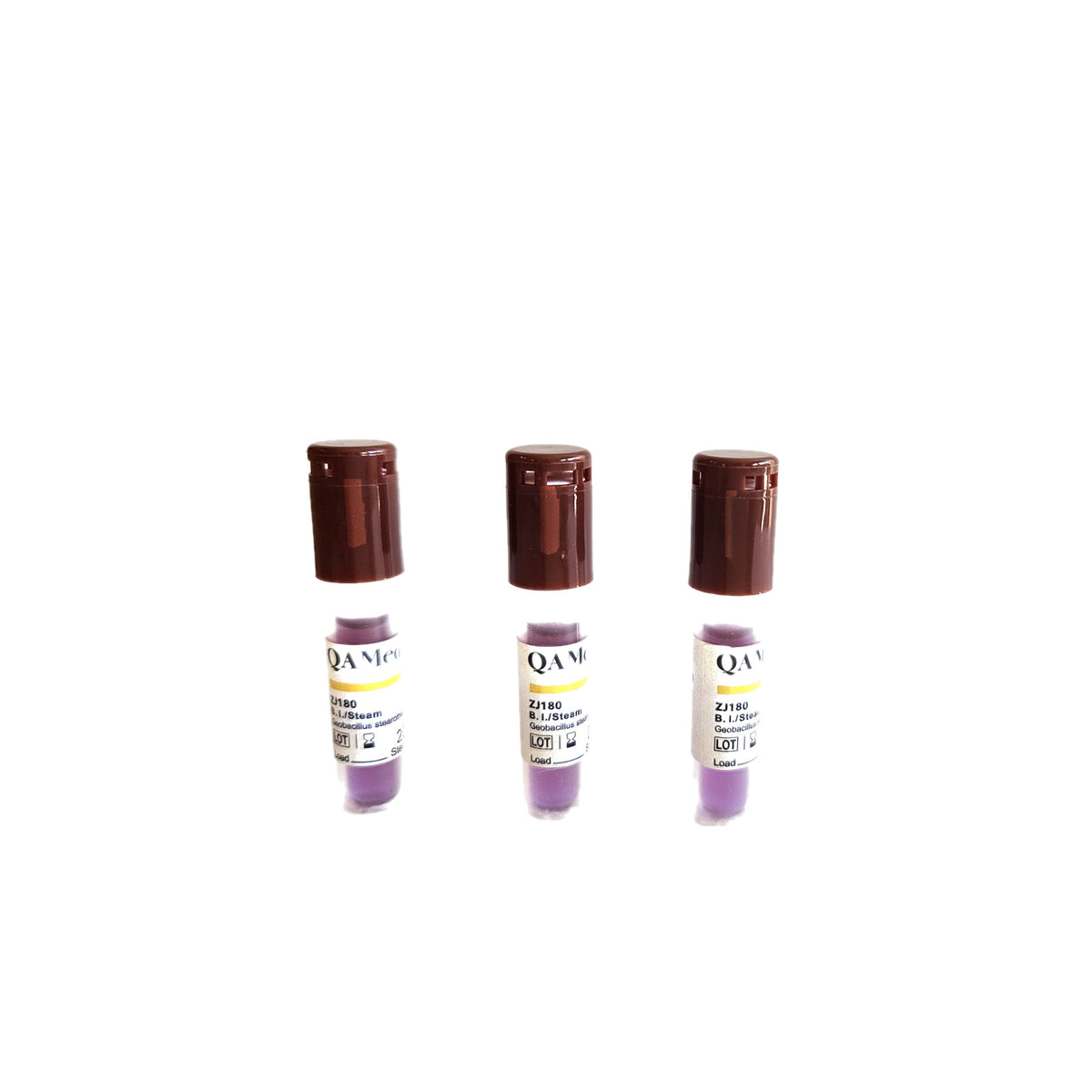 CliniEco Medical Biological Indicator — 3-Hour Rapid Readout (ZJ180), three vials, white background