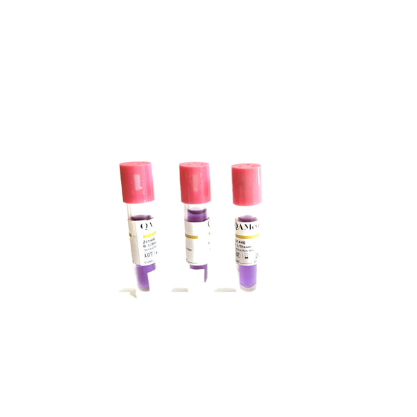 CliniEco Medical Biological Indicator — 24-Hour Self-Contained, 25-Pack