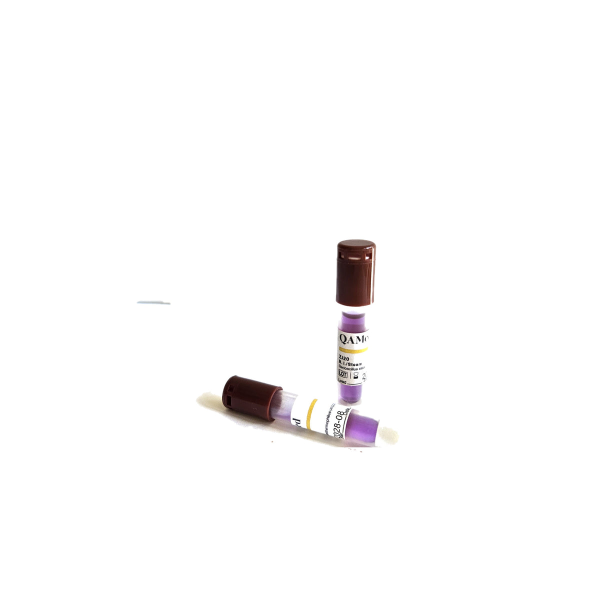 05_two_vials.jpg