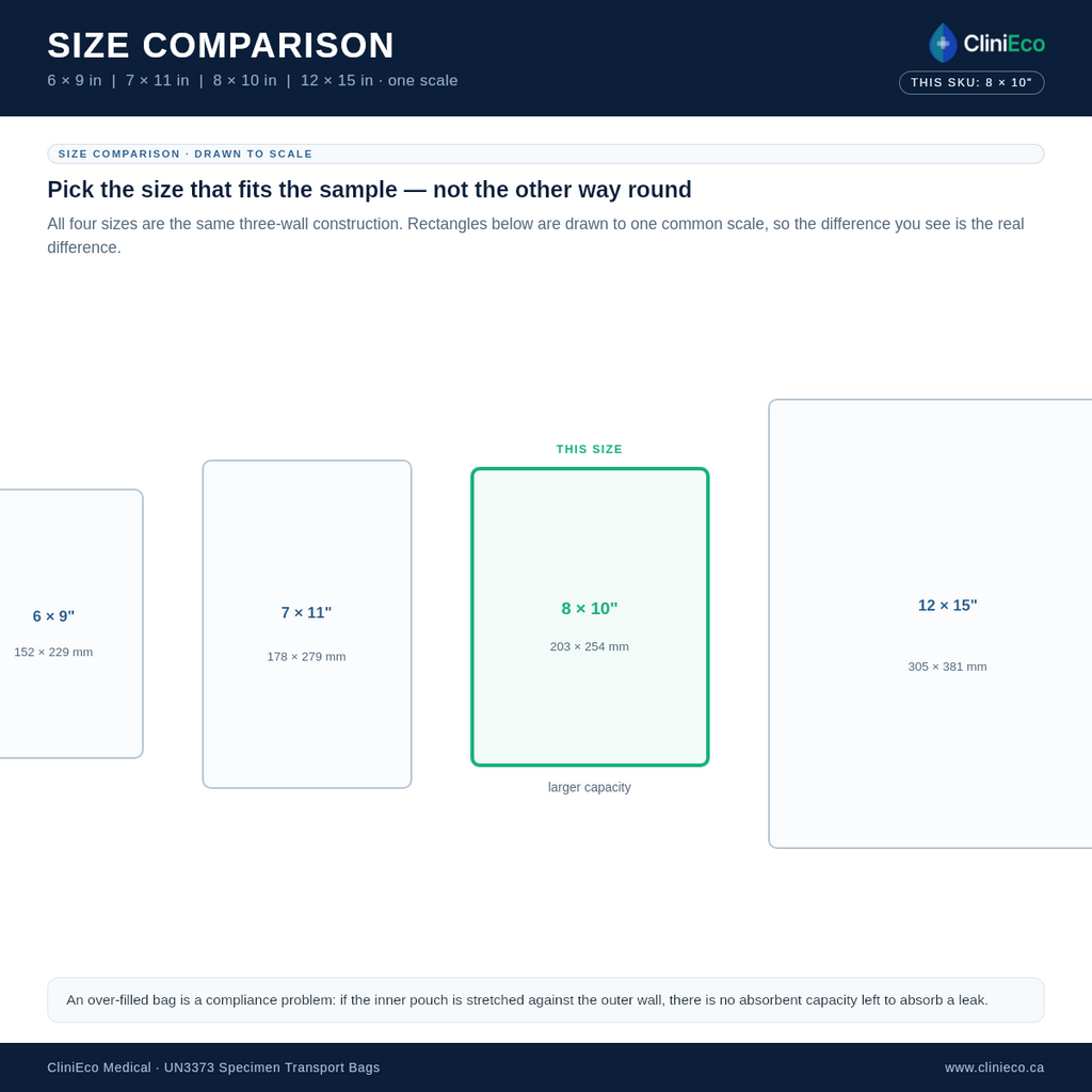 Specimen bag size comparison — 6×9, 7×11, 8×10, 12×15 in