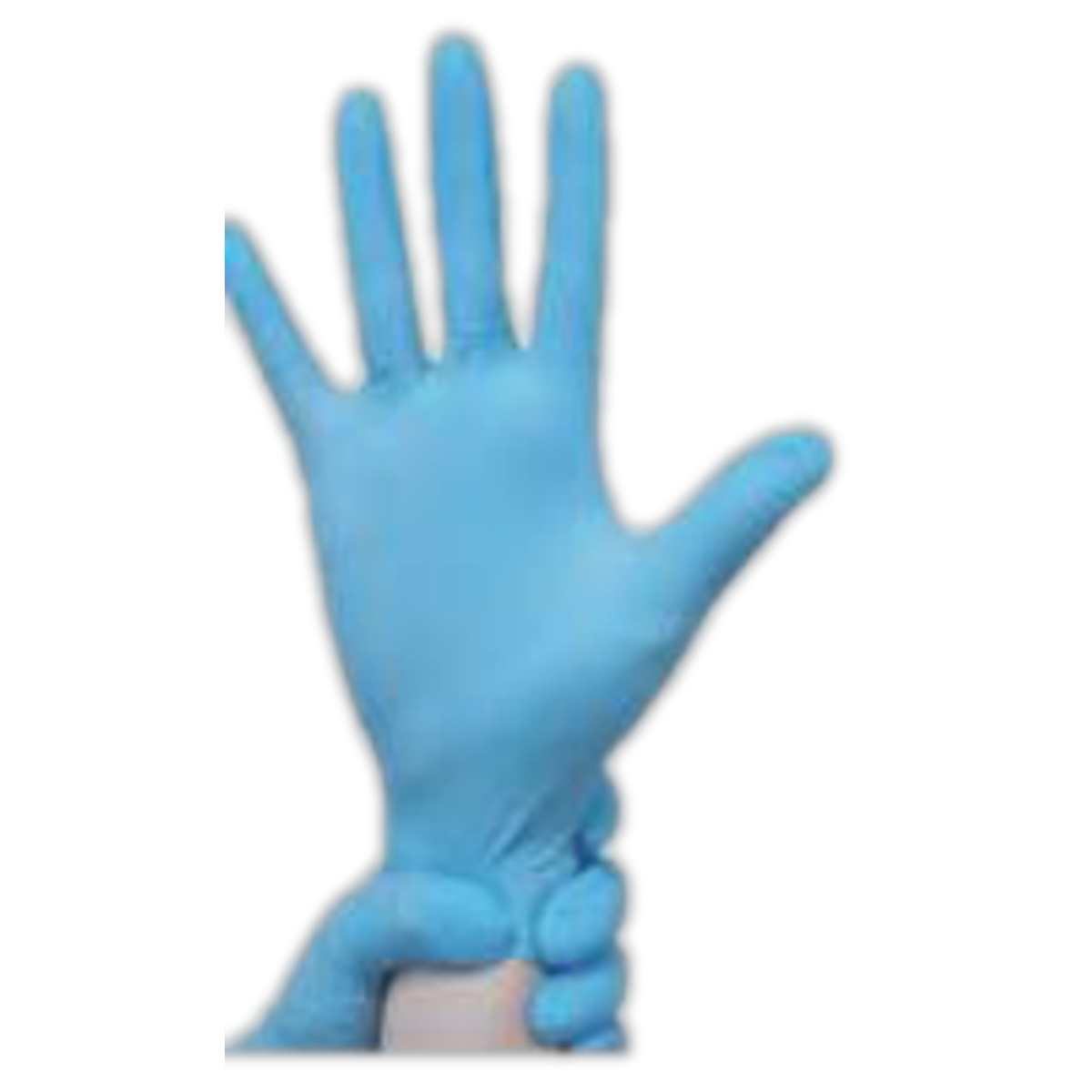 INTCO Nitrile Gloves — Wholesale Case (Touch Flex / Advancare, 10 Boxes × 100 ct)