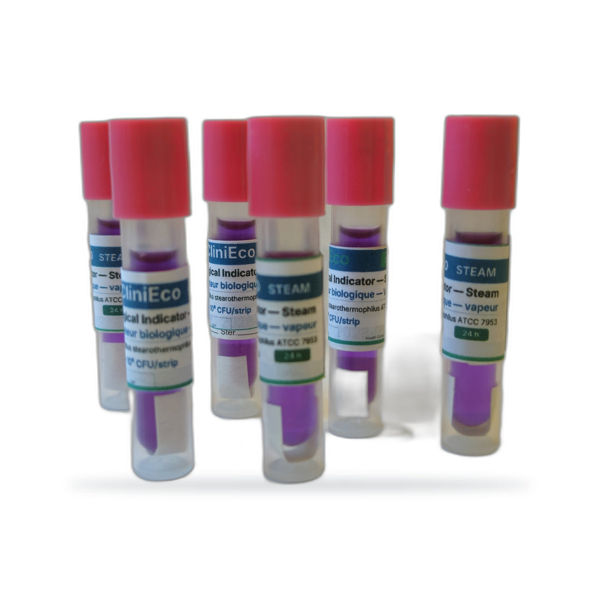 Four 24-hour biological indicators arranged in a row