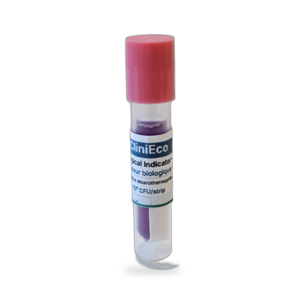 24-hour biological indicator — side view of a single indicator