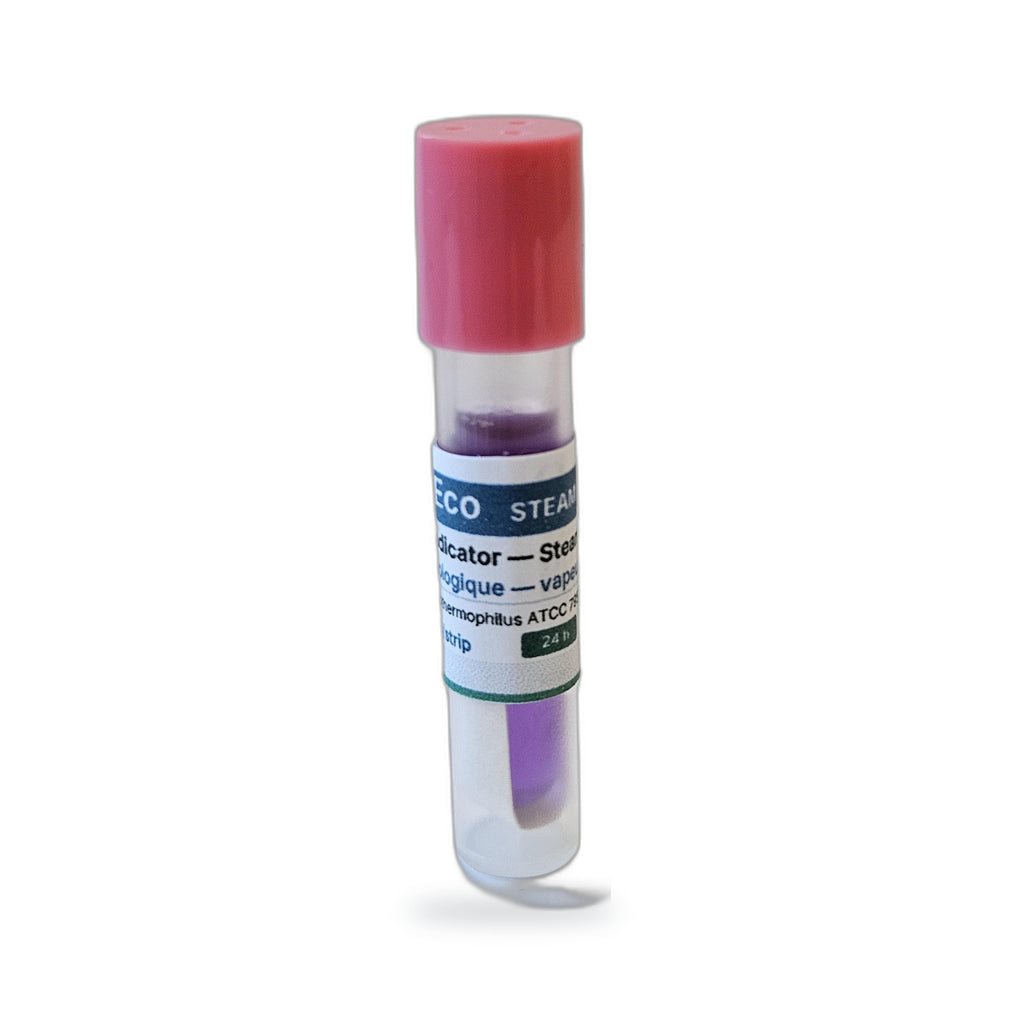 24-hour biological indicator — single indicator, standing